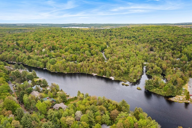 104 Jimmy Pond Ct, Pocono Pines, PA 18350 - aerial view of a heavily wooded area and a large body of water