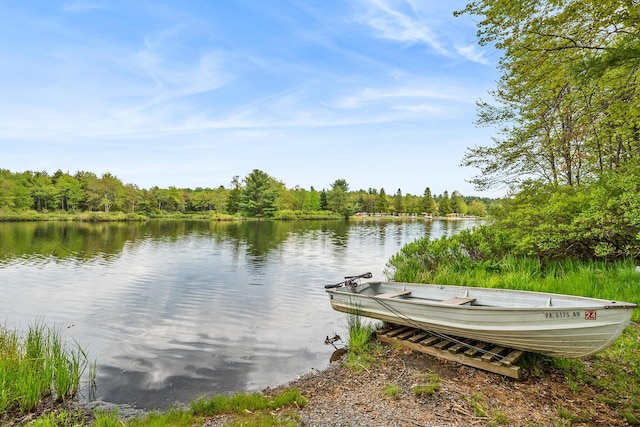 104 Jimmy Pond Ct, Pocono Pines, PA 18350 - dock area featuring a water view and a view of trees
