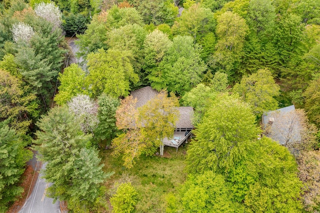 104 Jimmy Pond Ct, Pocono Pines, PA 18350 - aerial view