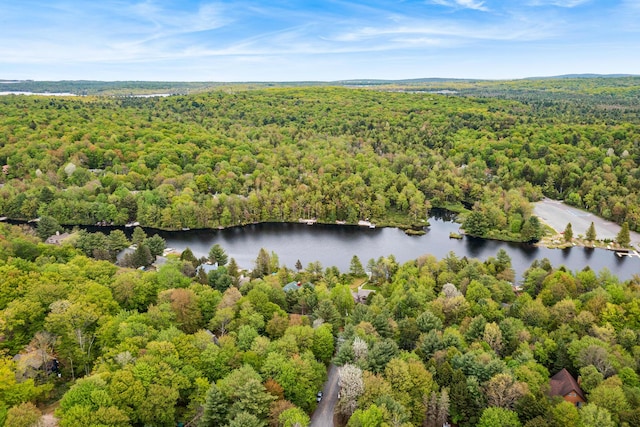 104 Jimmy Pond Ct, Pocono Pines, PA 18350 - drone / aerial view of a heavily wooded area and a large body of water