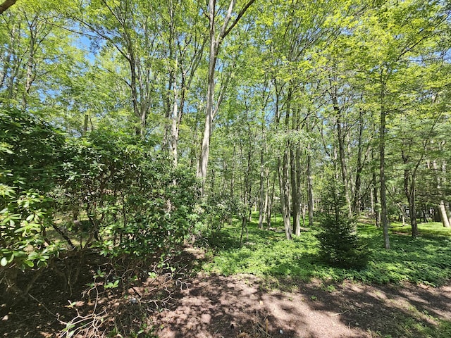 15 Hickory Hills Dr, White Haven, PA 18661 - photo 4
