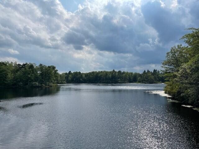 181 Cedar Dr, Long Pond, PA 18334 - photo 7