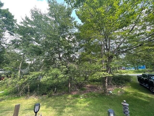 181 Cedar Dr, Long Pond, PA 18334 - photo 6