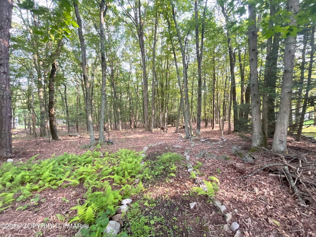 W Thirteenth St, Jim Thorpe, PA 18229 - photo 2
