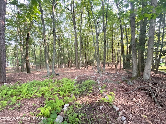 W Thirteenth St, Jim Thorpe, PA 18229 - photo 2