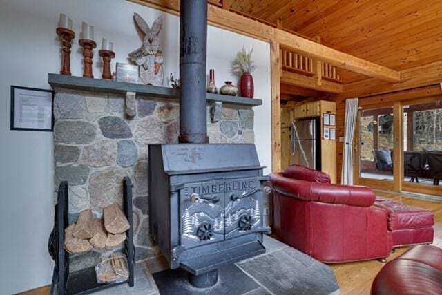 232 Stafford Dr, Bushkill, PA 18324 - living room featuring a wood stove, wooden ceiling, and wood finished floors