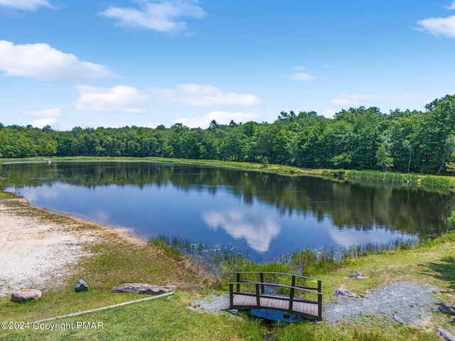 1807 Penn Forest Dr, Albrightsville, PA 18210 - photo 6