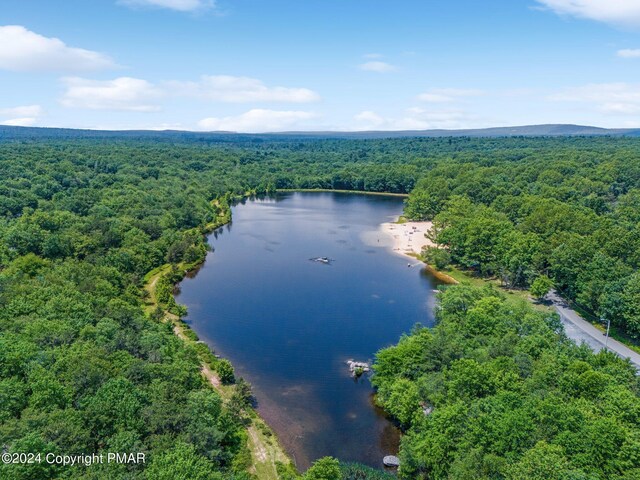 1807 Penn Forest Dr, Albrightsville, PA 18210 - photo 4
