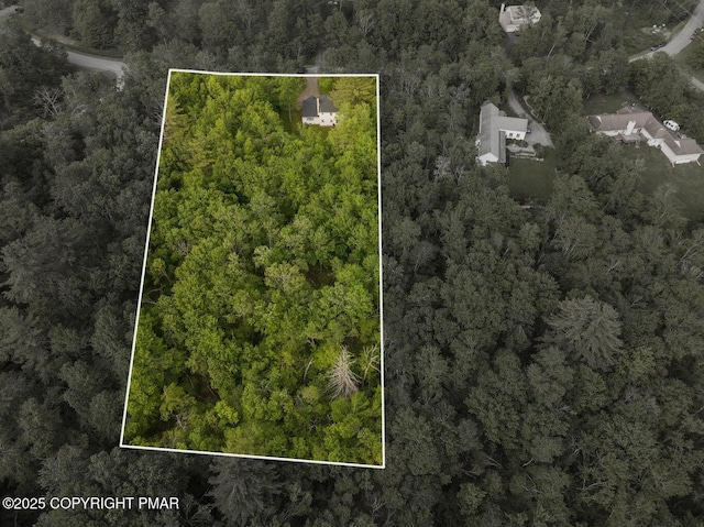 299 Scenic Dr, Blakeslee, PA 18610 - photo 50