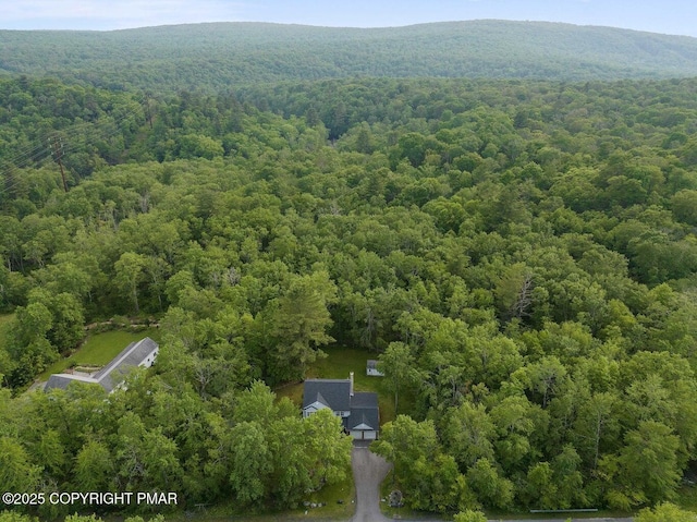 299 Scenic Dr, Blakeslee, PA 18610 - photo 64