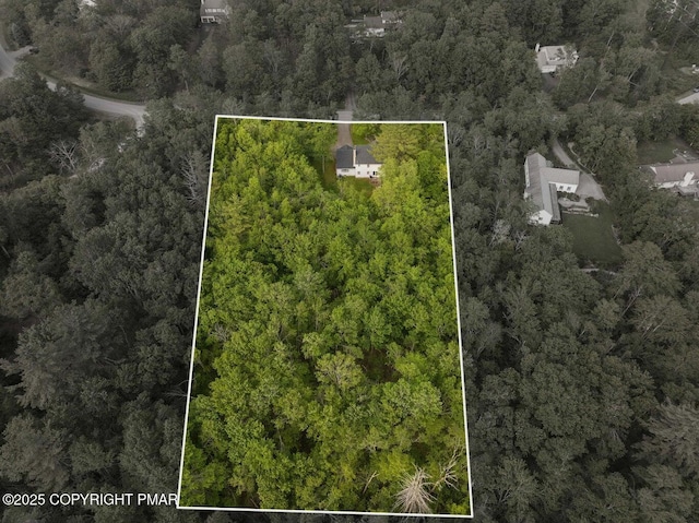 299 Scenic Dr, Blakeslee, PA 18610 - photo 61