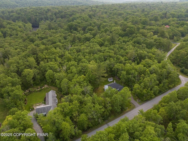 299 Scenic Dr, Blakeslee, PA 18610 - photo 66