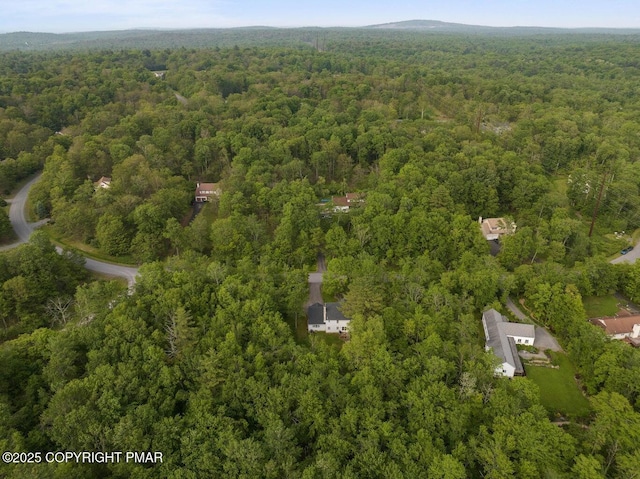 299 Scenic Dr, Blakeslee, PA 18610 - photo 67