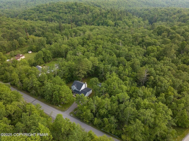 299 Scenic Dr, Blakeslee, PA 18610 - photo 65