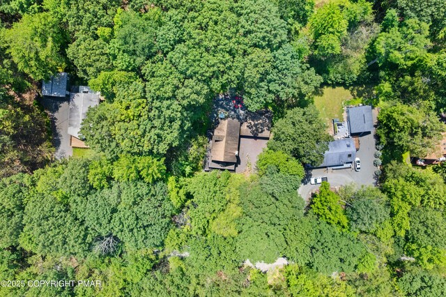 1046 Maple Dr, Pocono Lake, PA 18347 - drone / aerial view of a forest