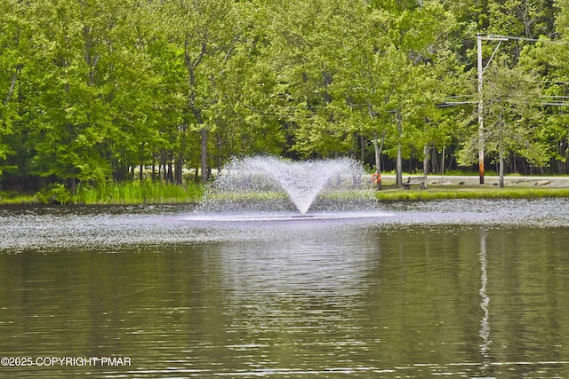1046 Maple Dr, Pocono Lake, PA 18347 - water view