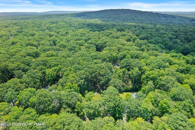 1046 Maple Dr, Pocono Lake, PA 18347 - bird's eye view of a mountain backdrop