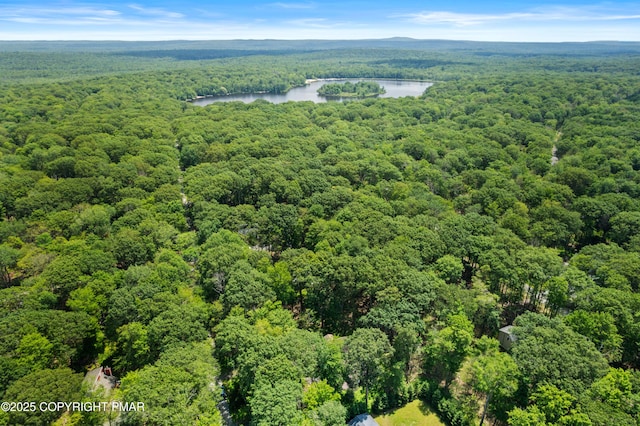 1046 Maple Dr, Pocono Lake, PA 18347 - bird's eye view of a forest and a large body of water