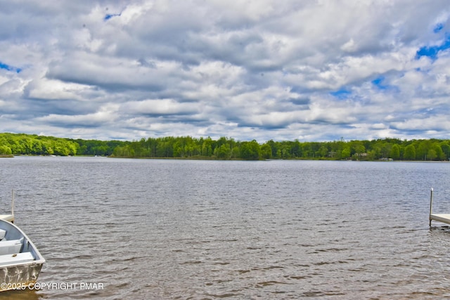 1046 Maple Dr, Pocono Lake, PA 18347 - water view with a heavily wooded area and a boat dock