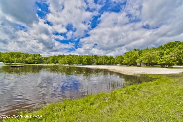 1046 Maple Dr, Pocono Lake, PA 18347 - water view with a heavily wooded area