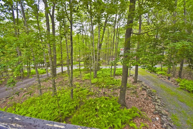 1046 Maple Dr, Pocono Lake, PA 18347 - view of local wilderness