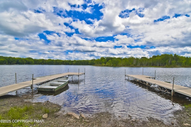1046 Maple Dr, Pocono Lake, PA 18347 - dock area featuring a water view and a forest view