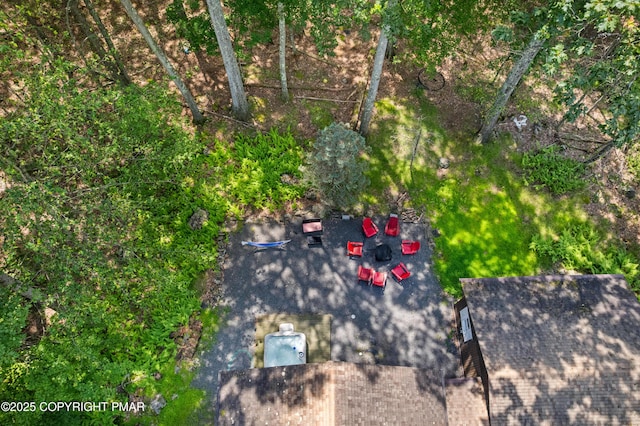 1046 Maple Dr, Pocono Lake, PA 18347 - view of yard