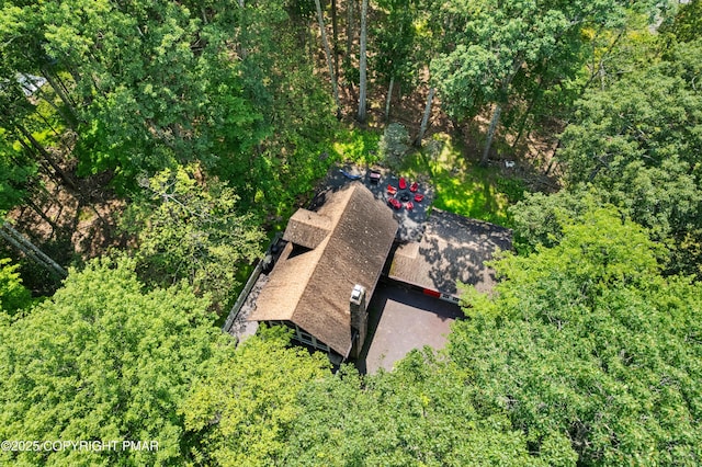 1046 Maple Dr, Pocono Lake, PA 18347 - view from above of property