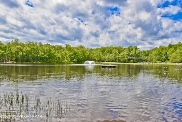 1046 Maple Dr, Pocono Lake, PA 18347 - water view with a heavily wooded area
