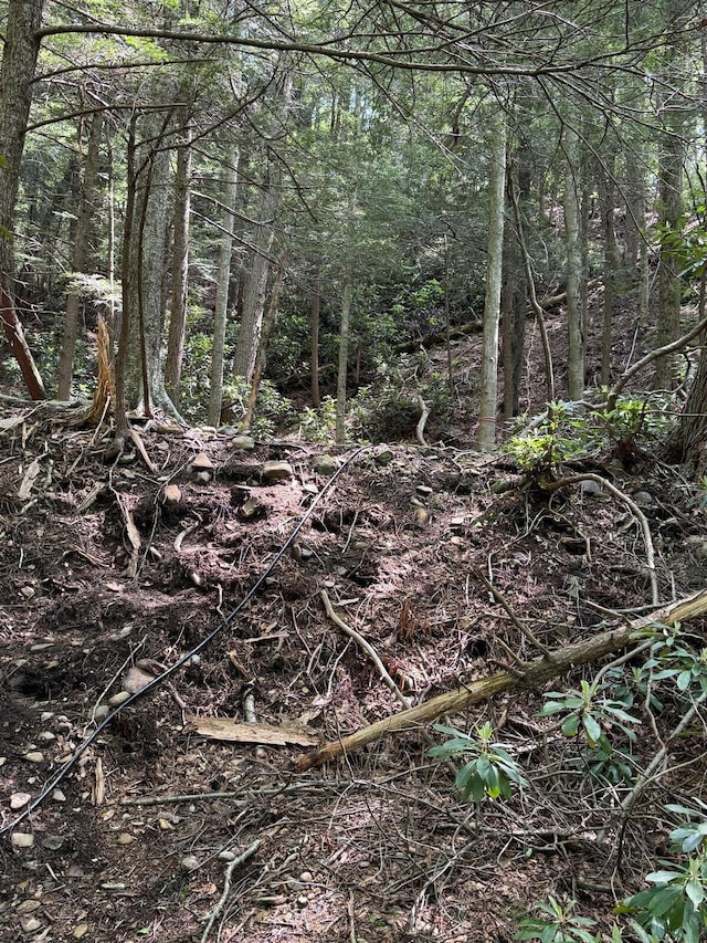 12 Wilderness Trl, Scotrun, PA 18355