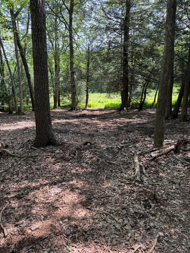 12 Wilderness Trl, Scotrun, PA 18355