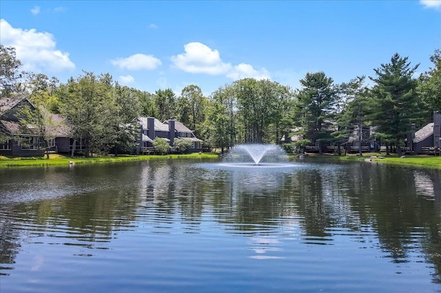 214 Snow Ridge Cir, Lake Harmony, PA 18624 - photo 51