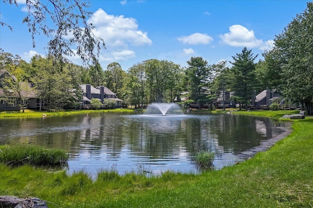 214 Snow Ridge Cir, Lake Harmony, PA 18624 - photo 53