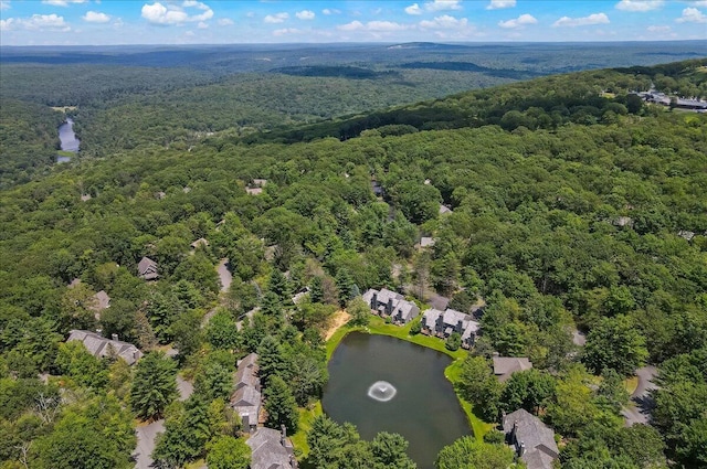214 Snow Ridge Cir, Lake Harmony, PA 18624 - photo 61