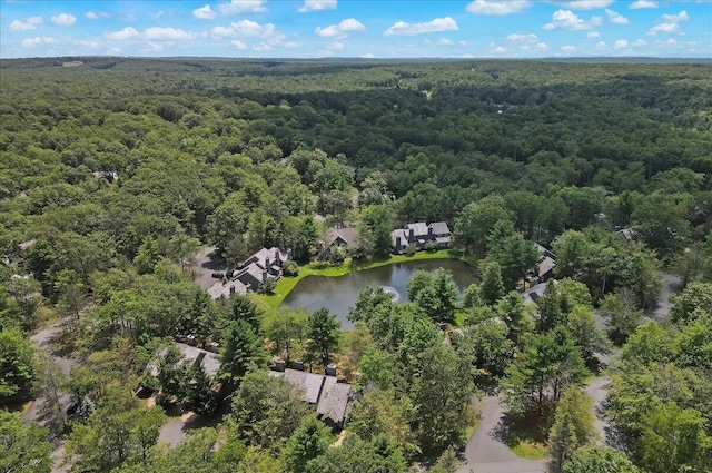 214 Snow Ridge Cir, Lake Harmony, PA 18624 - photo 63