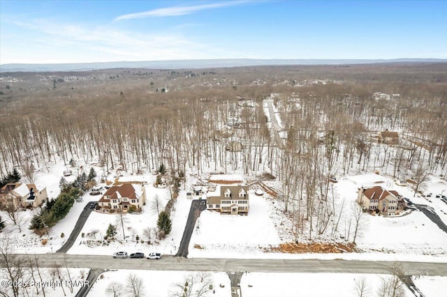 view of snowy aerial view