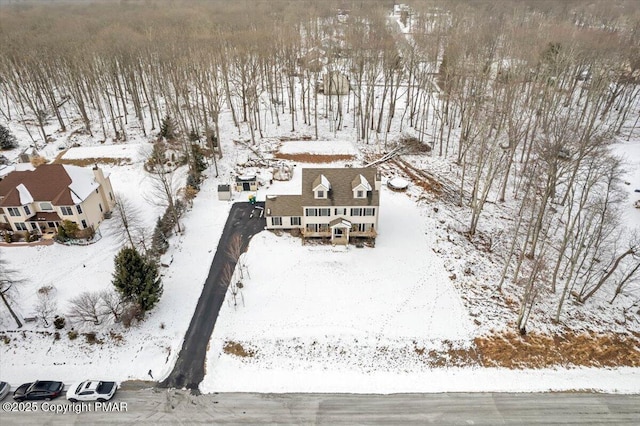 view of snowy aerial view