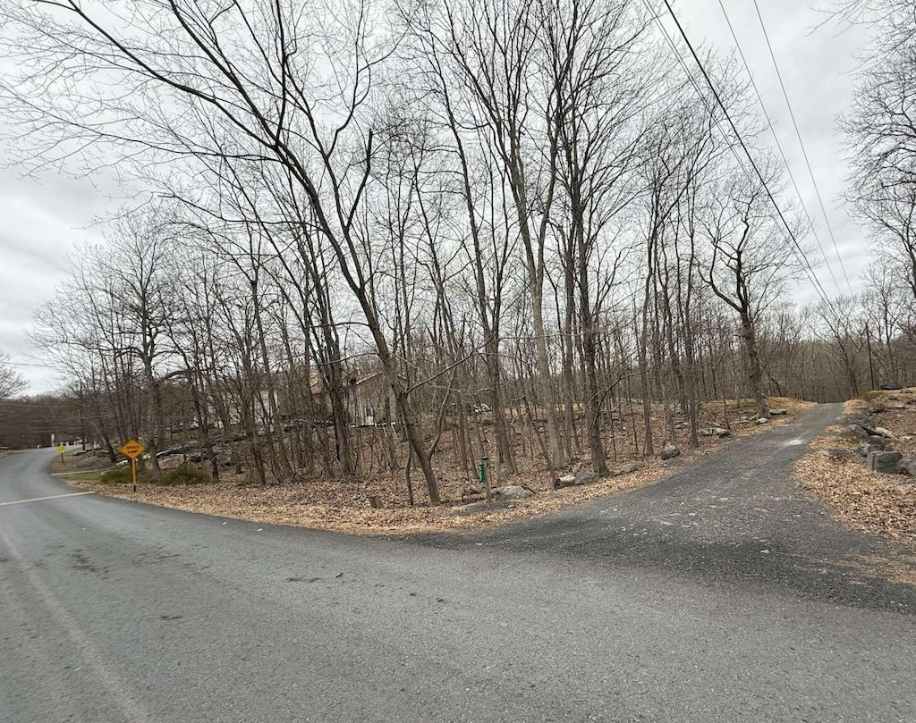LOT206A Lakeside Dr, East Stroudsburg, PA 18301