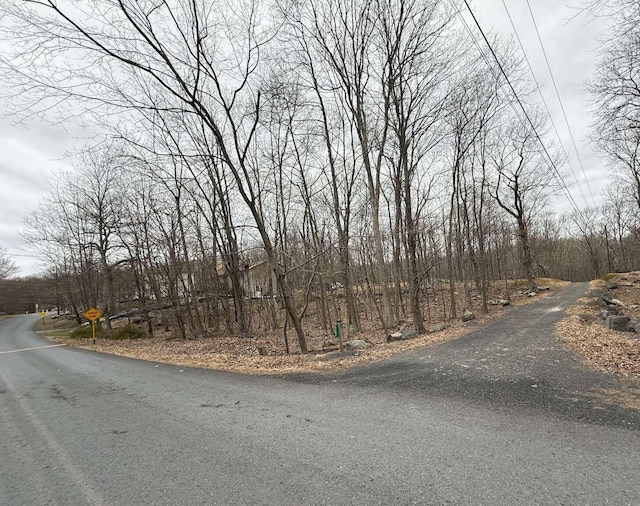 LOT206A Lakeside Dr, East Stroudsburg, PA 18301