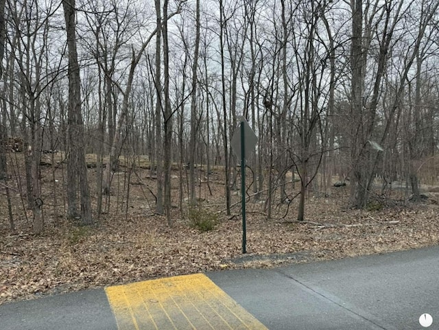 LOT206A Lakeside Dr, East Stroudsburg, PA 18301