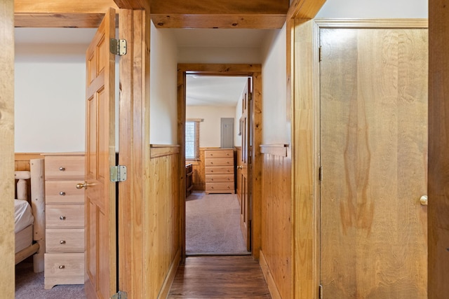 corridor featuring a wainscoted wall, wood walls, and wood finished floors