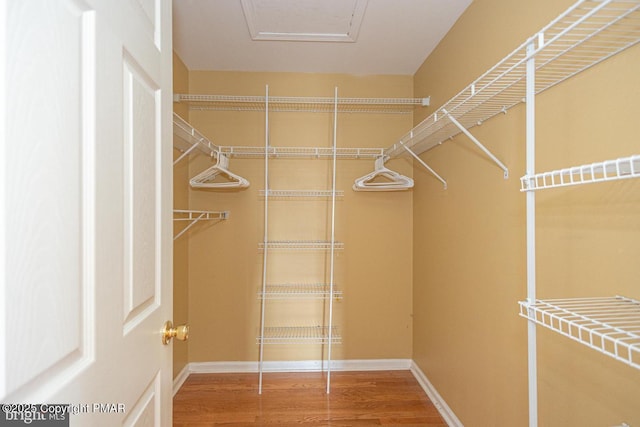 spacious closet featuring wood finished floors