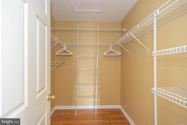 walk in closet with wood finished floors