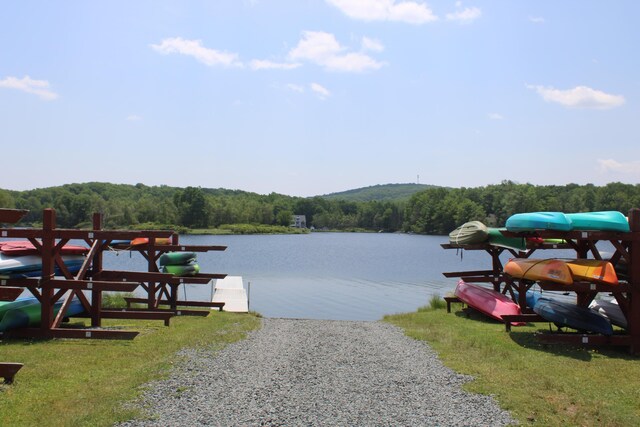 162 Ski Trl, Pocono Lake, PA 18347 - photo 29