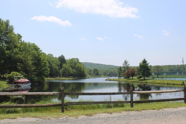 162 Ski Trl, Pocono Lake, PA 18347 - photo 26