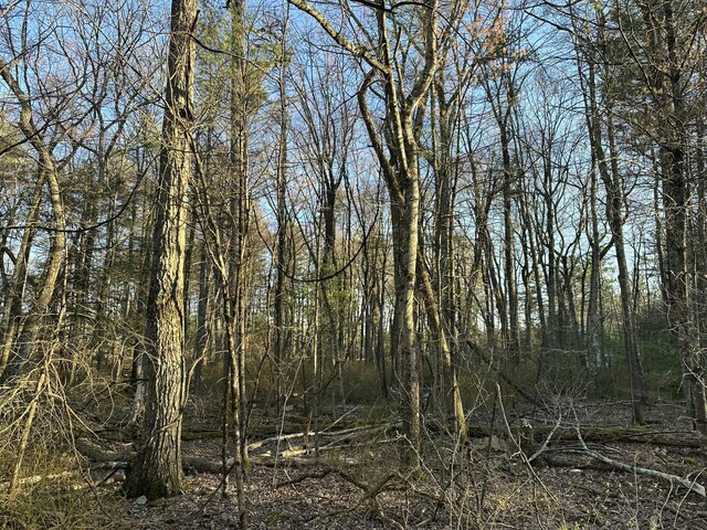 LOT1537 Sequoia Ln, Milford, PA 18337 - photo 5