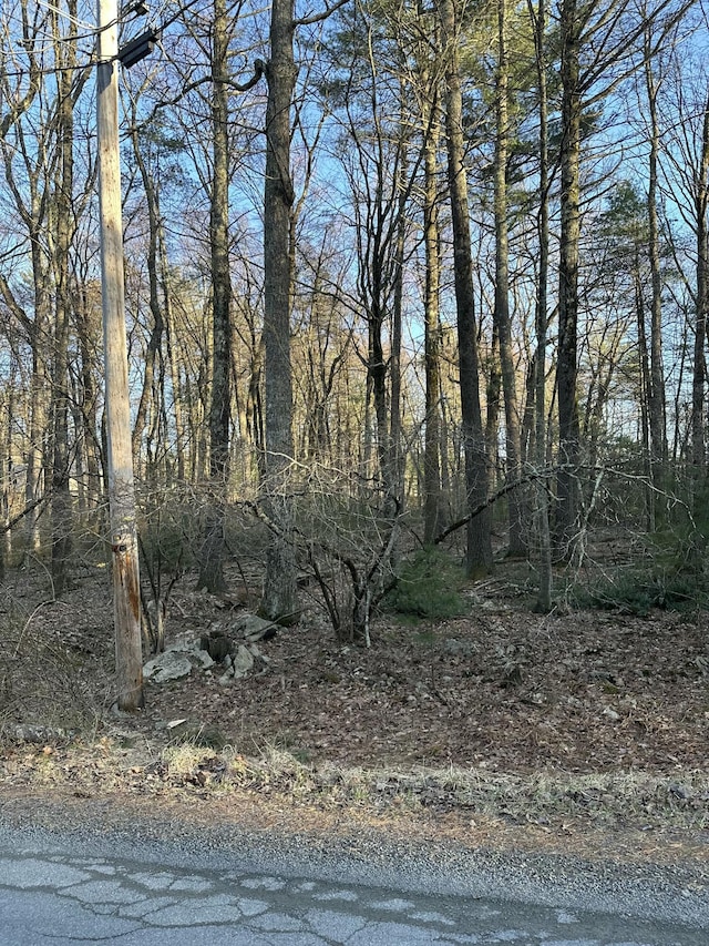 LOT1537 Sequoia Ln, Milford, PA 18337 - photo 3
