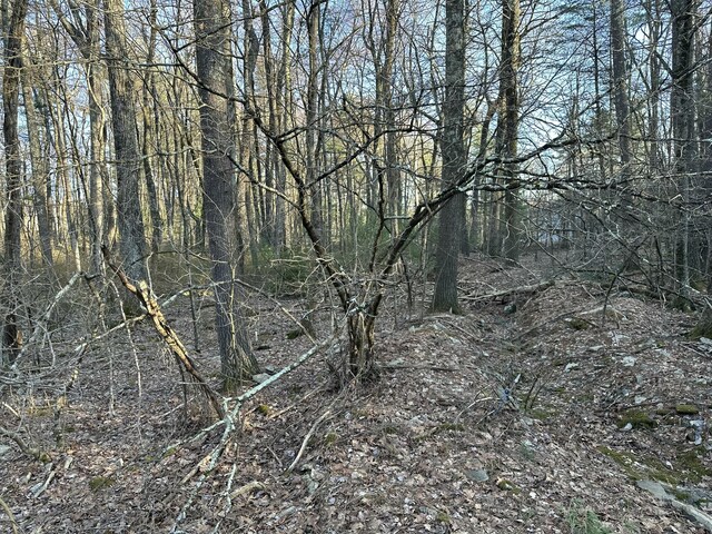 LOT1537 Sequoia Ln, Milford, PA 18337 - photo 2