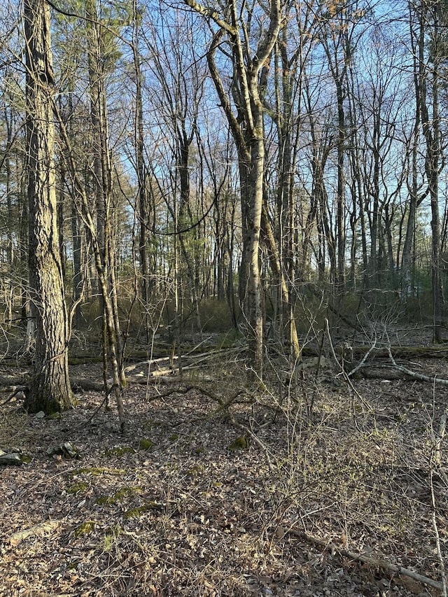 LOT1537 Sequoia Ln, Milford, PA 18337 - photo 6