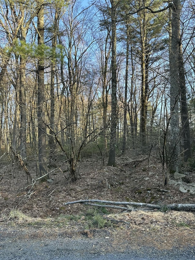 LOT1537 Sequoia Ln, Milford, PA 18337 - photo 4